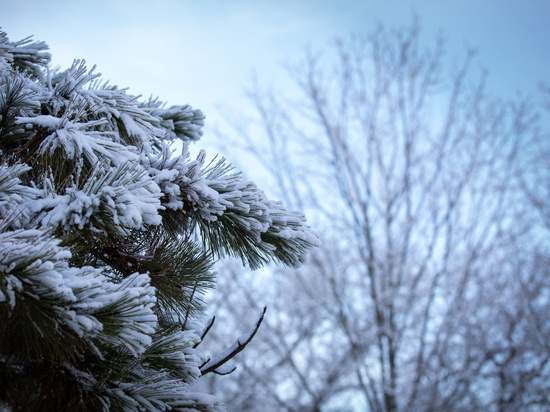     Фото: © Илья Гогунский / Пресс-служба Крымского федерального университета