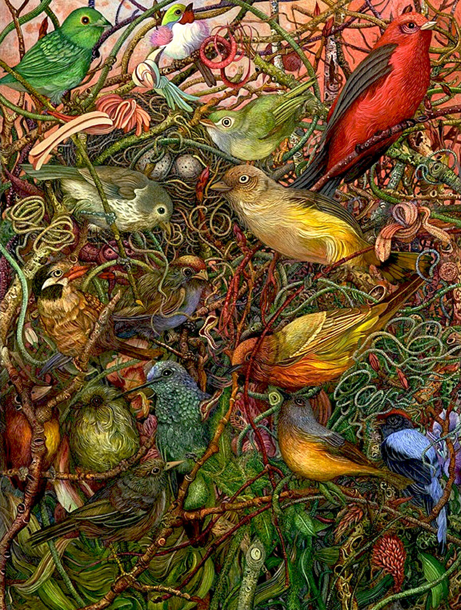 © Джуди Гарфин /  Judy Garfin