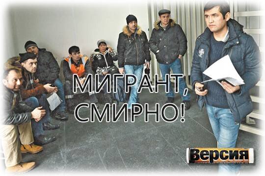    Мигрант, смирно!