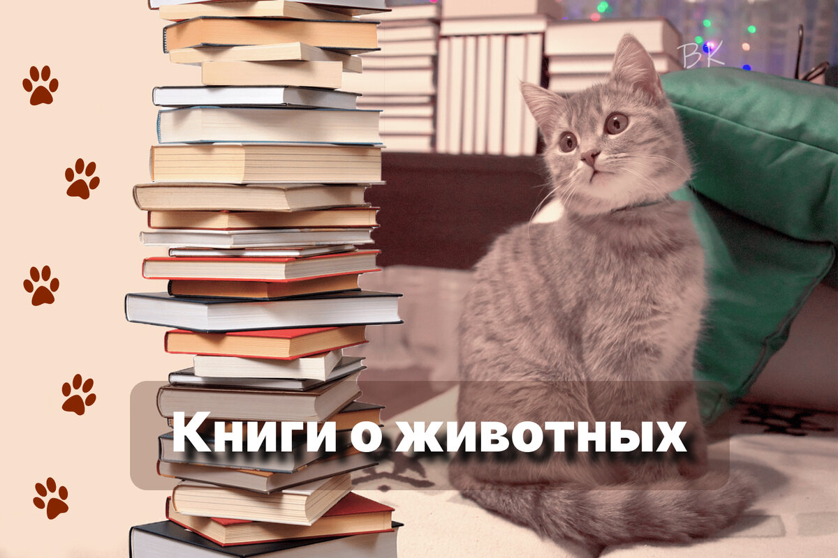 Обложка Детской Книги: векторные изображения и иллюстрации, которые можно скачать бесплатно