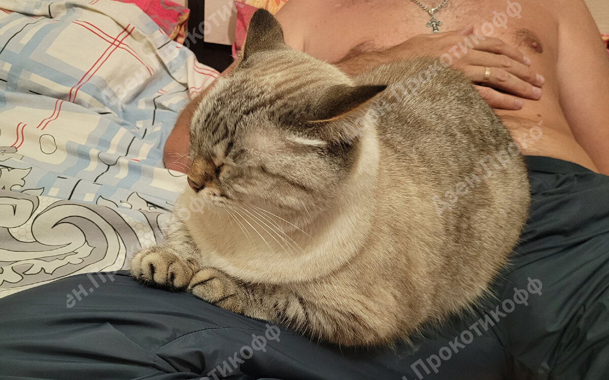 "Так, Мотя, пробуем спать... Я сплю, я сплю..."