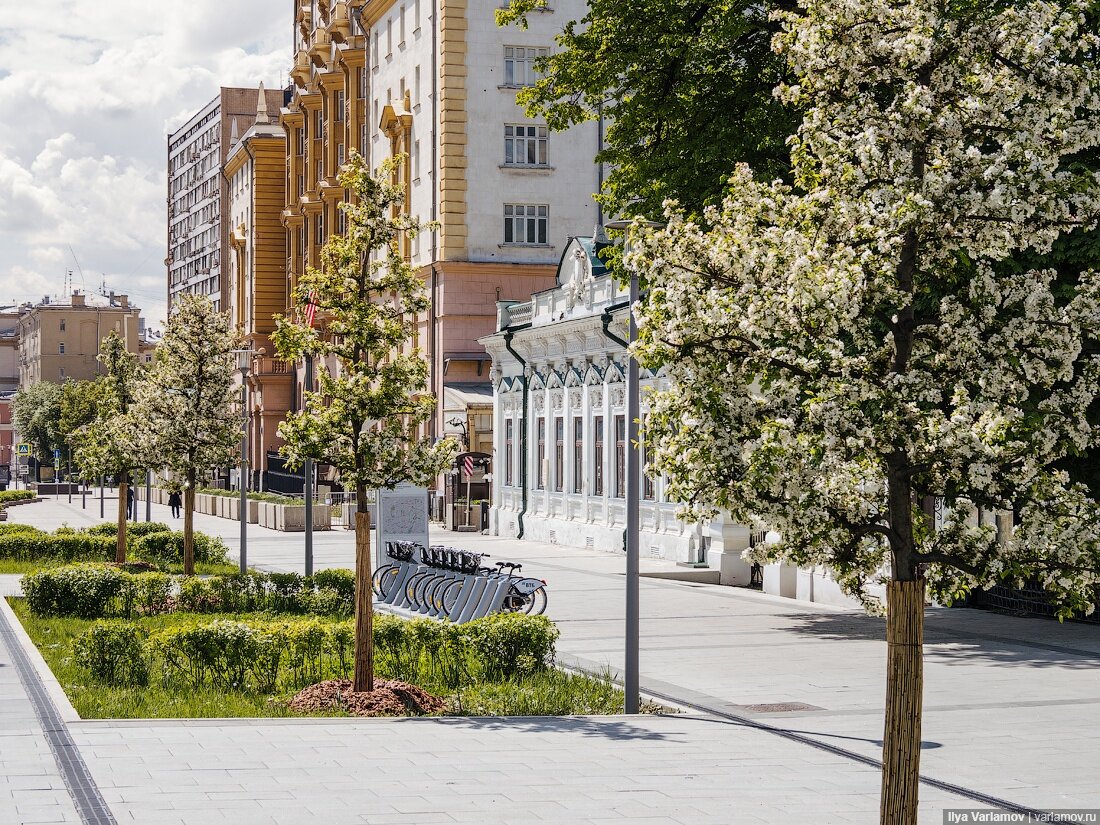 Улицы москвы природа. Проект моя улица Варламов Москва. Озеленение города Варламов. Зеленые улицы Москвы. Благоустройство улицы