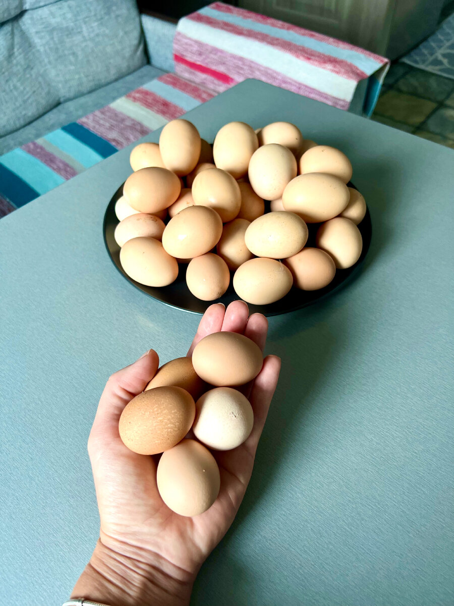 Яйца плохо чистятся, а сметана сворачивается: 7 частых ошибок в готовке и как их избежать