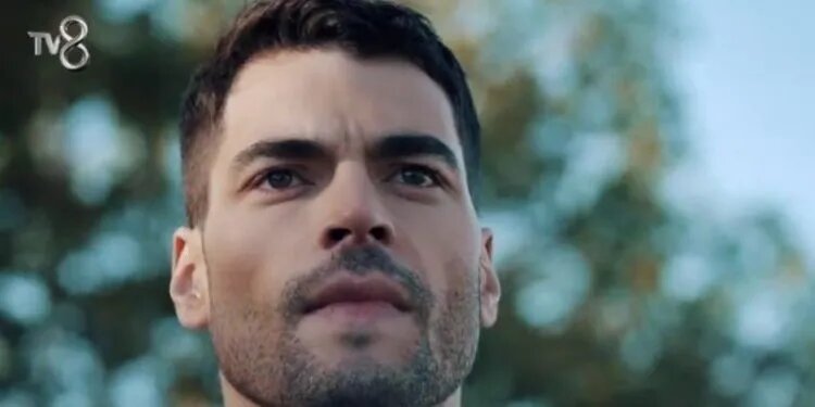 Фото с яндекса