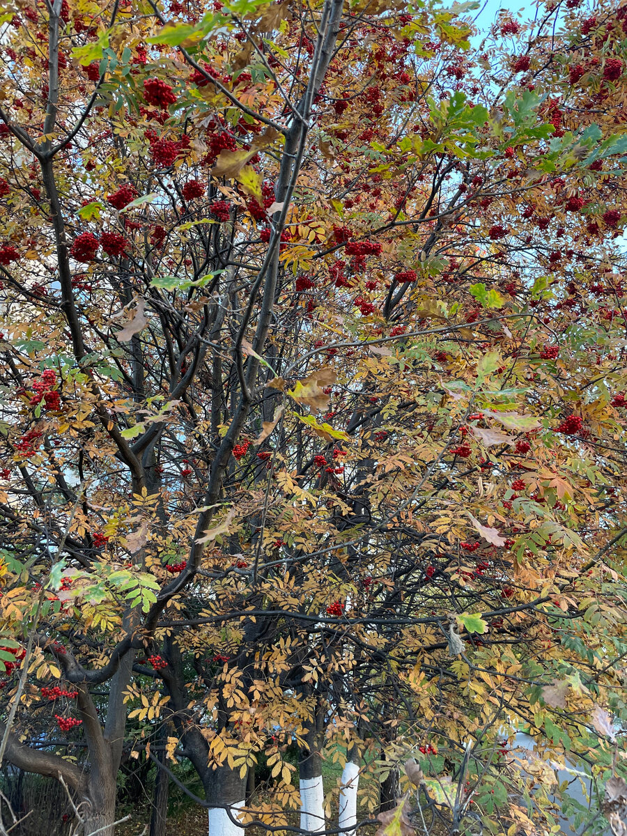 Фото автора канала NikI Photostory