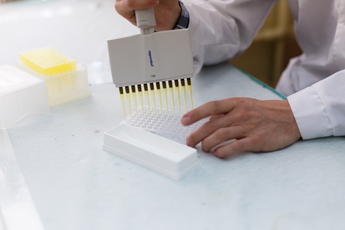 Источник: пресс-служба Российского научного фонда