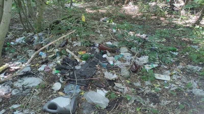 Несанкционированная свалка на окраине хутора Дёмино
Фото: https://t.me/chp26rus 