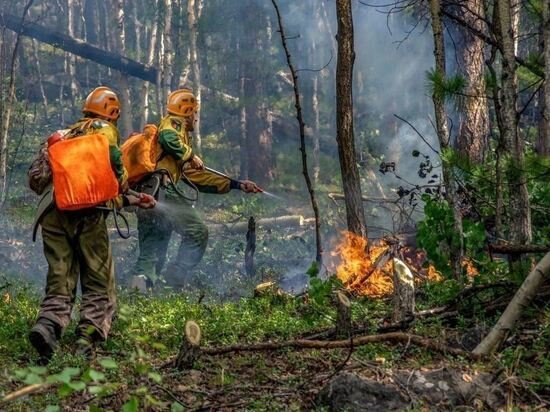     фото пресс-службы федеральной авиалесоохраны