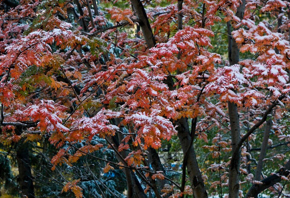     В Барнауле столбики термометров покажут +4... +6 градусов Олег УКЛАДОВ