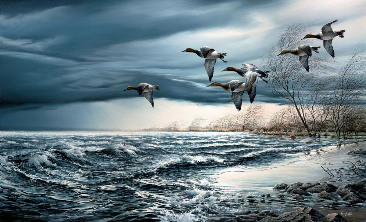    (Terry Avon Redlin).  