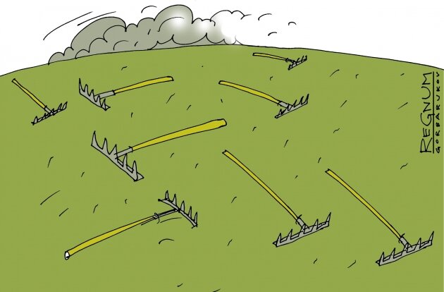    Земля Александр Горбаруков © ИА REGNUM