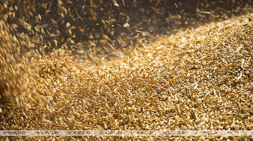    Фото из архива