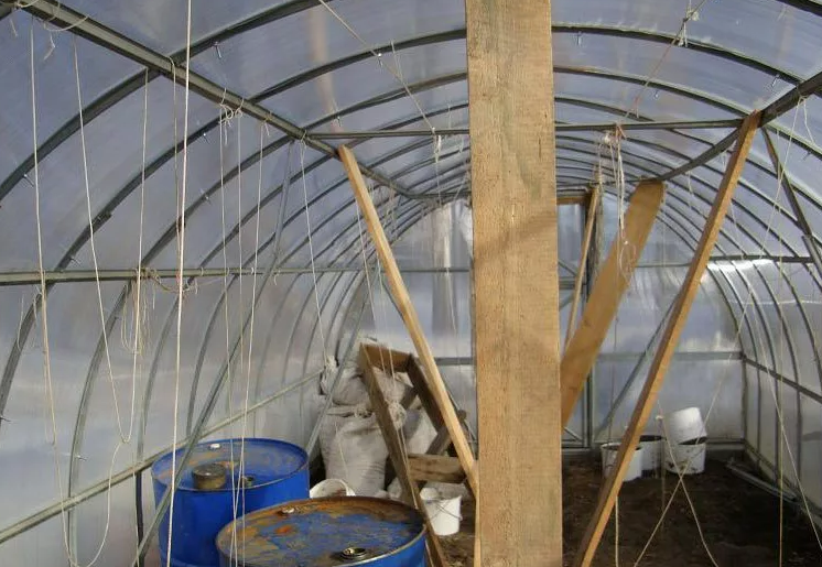 Фотография взята из источника selziv.ru