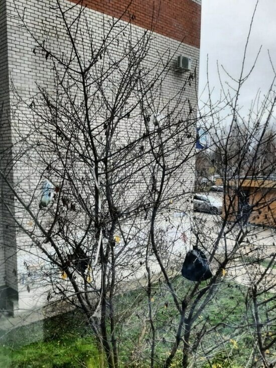     Фото: Оксана Михайлова / «ВКонтакте»