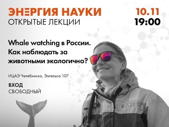     Макет предоставлен ИЦАЭ г. Челябинска