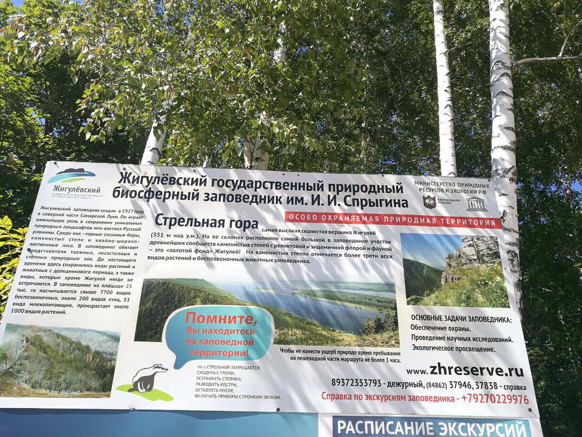 Гора Стрельная. Жигули. Август 2022.