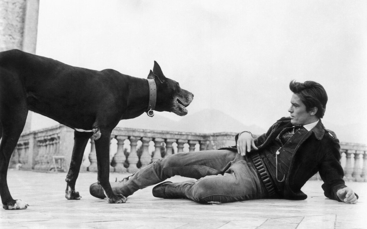     Что носил Ален Делон в шестидесятых — и почему остается иконой стиля и сейчас