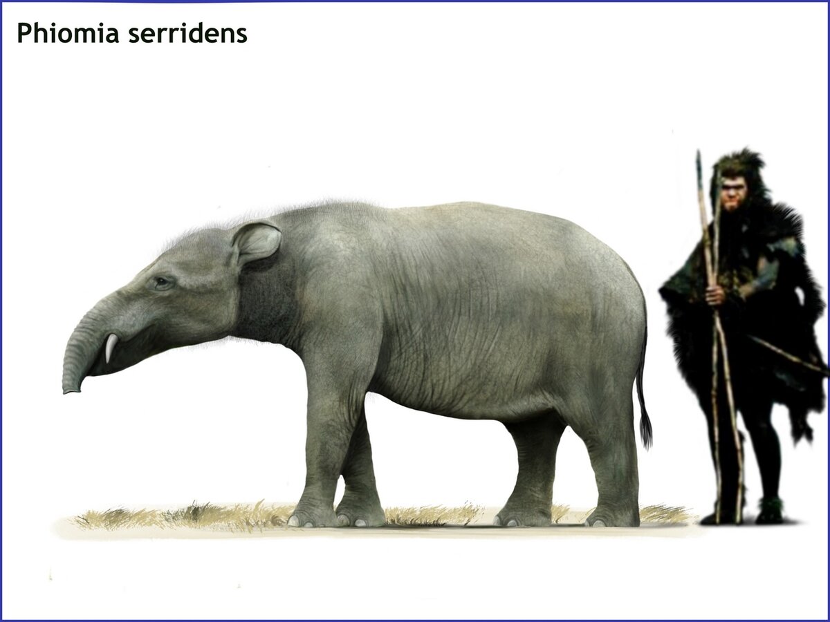 Описание и характеристики