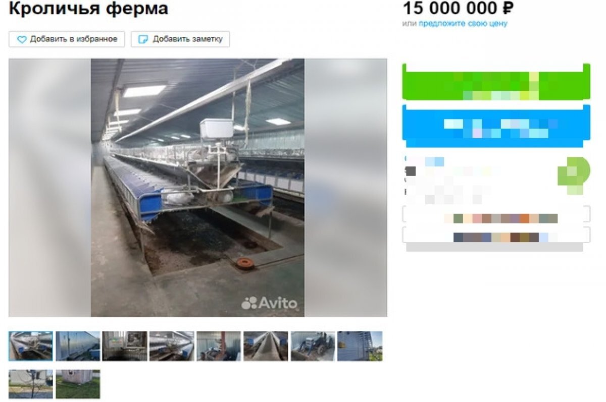    За 15 млн рублей в воронежском селе продают кроличью ферму