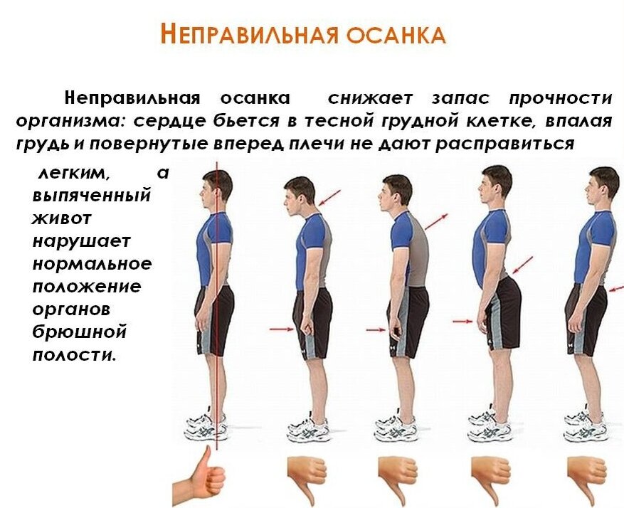 Держи осанку картинки