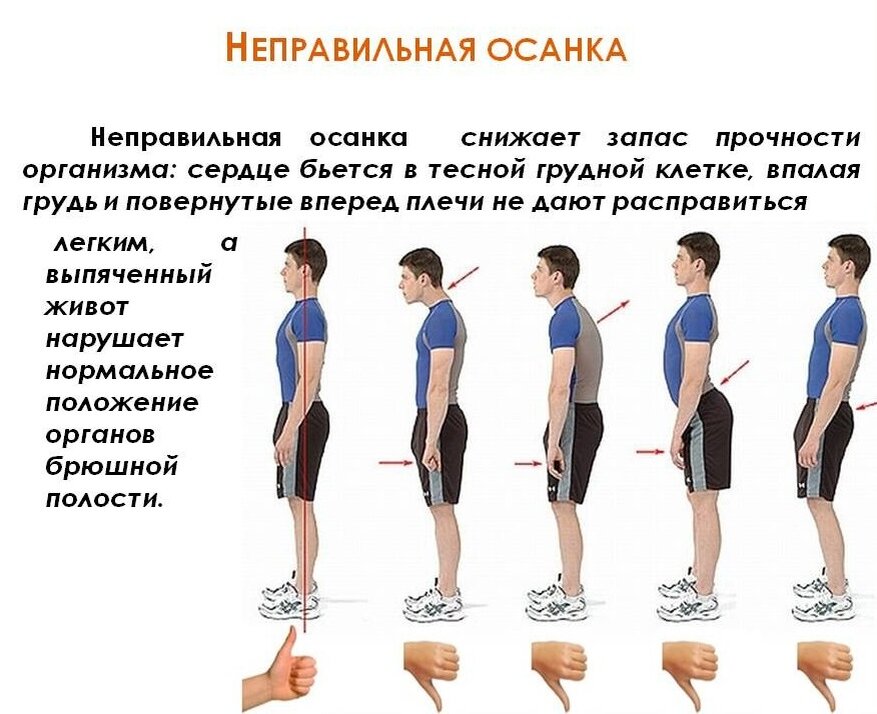 Осанка картинки для презентации