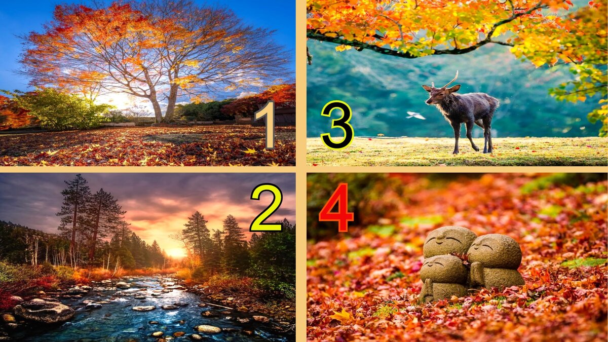 Тест по фото картинкам