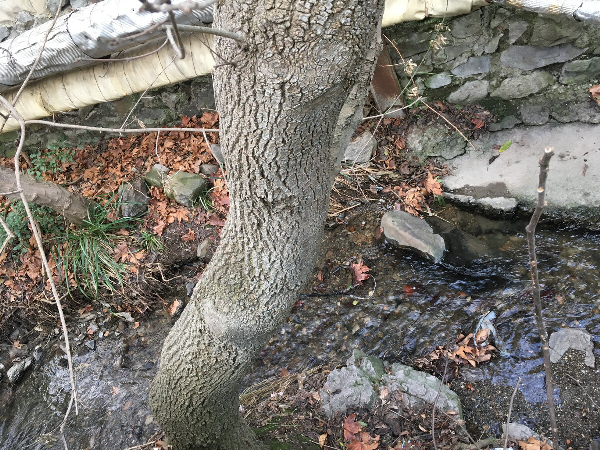 Речка-ручей