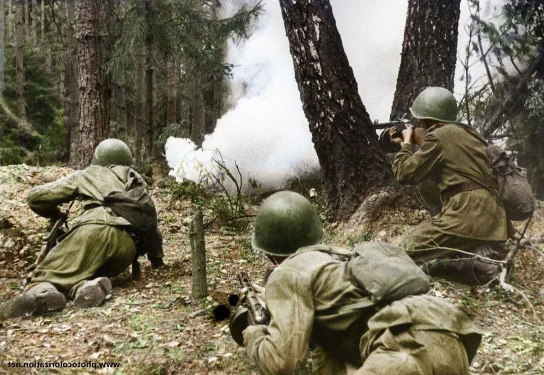 Источник фото: яндекс картинки