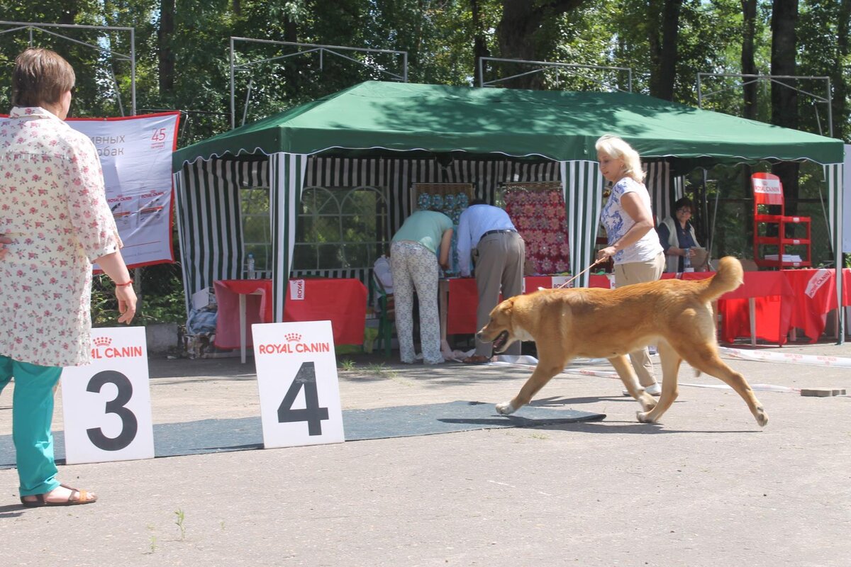 Зарина