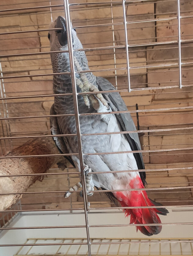 Первые дни дома