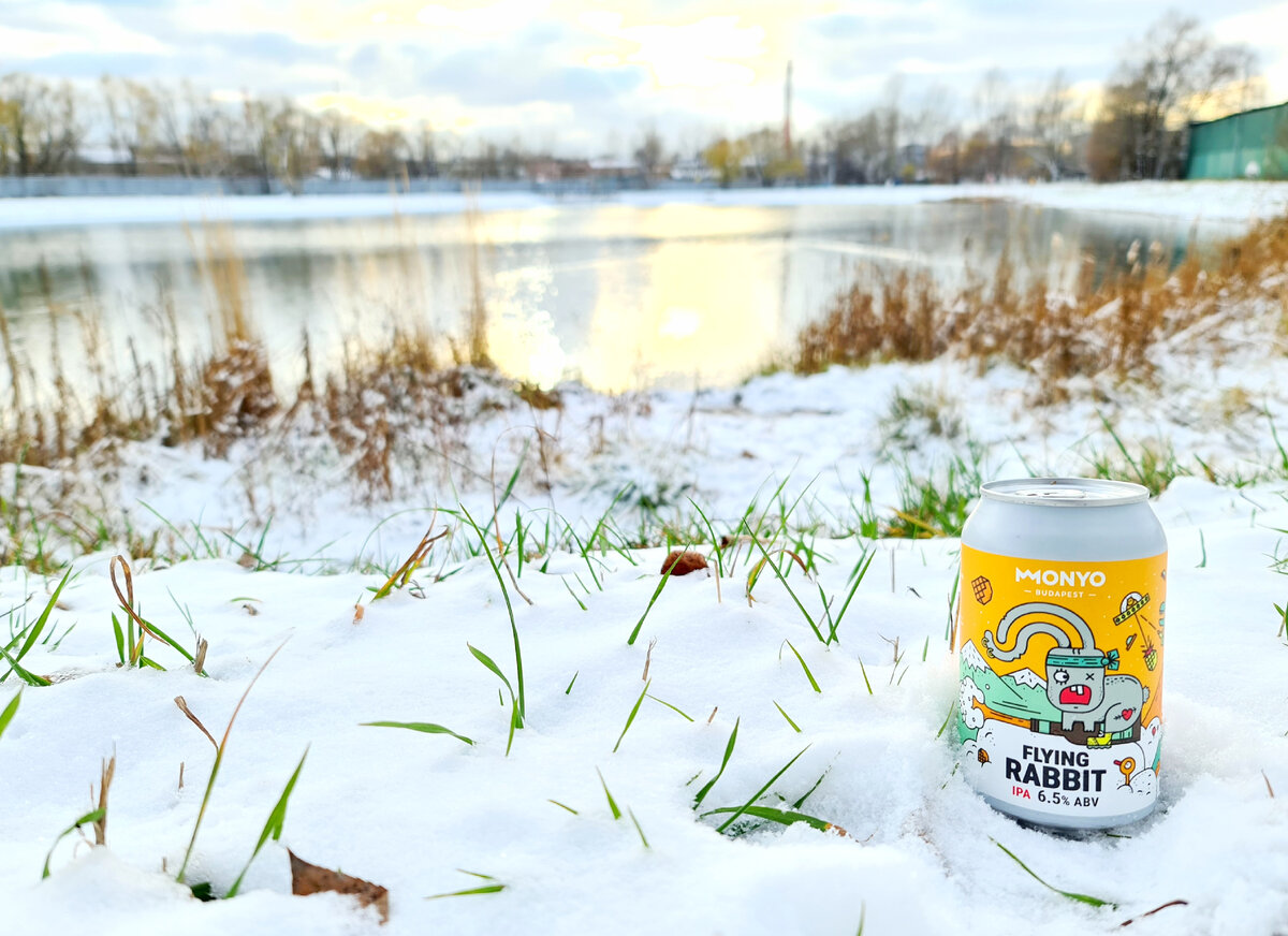 Flying Rabbit IPA, фото автора