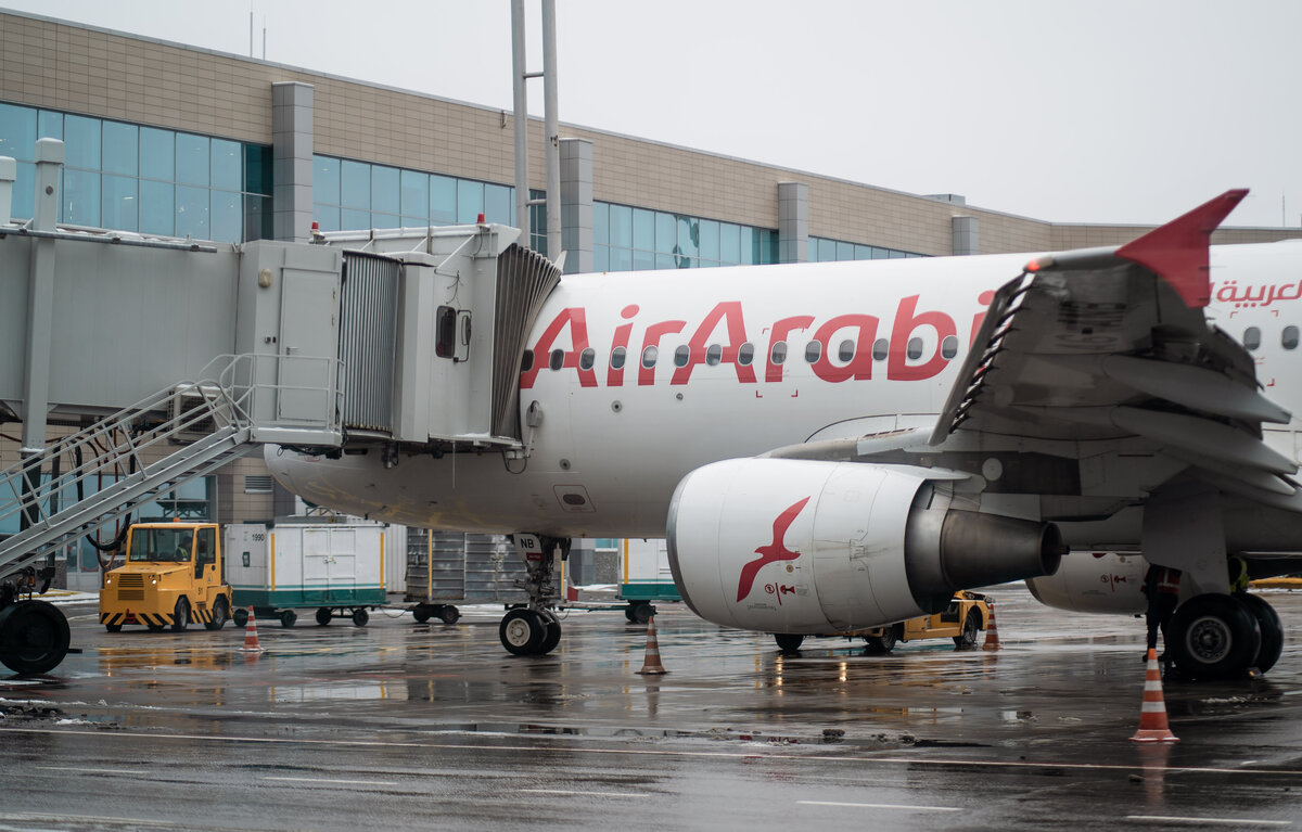 Полеты в абу даби из москвы. Air Arabia Abu Dhabi. Парк самолётов ай Арабия. Air Arabia Abu Dhabi to Egypt.