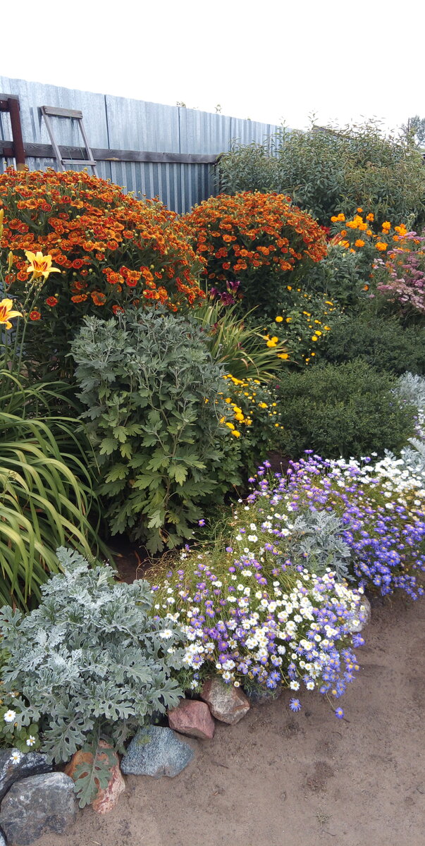 Тот  же  цветник  в  конце   июля  2021 г.