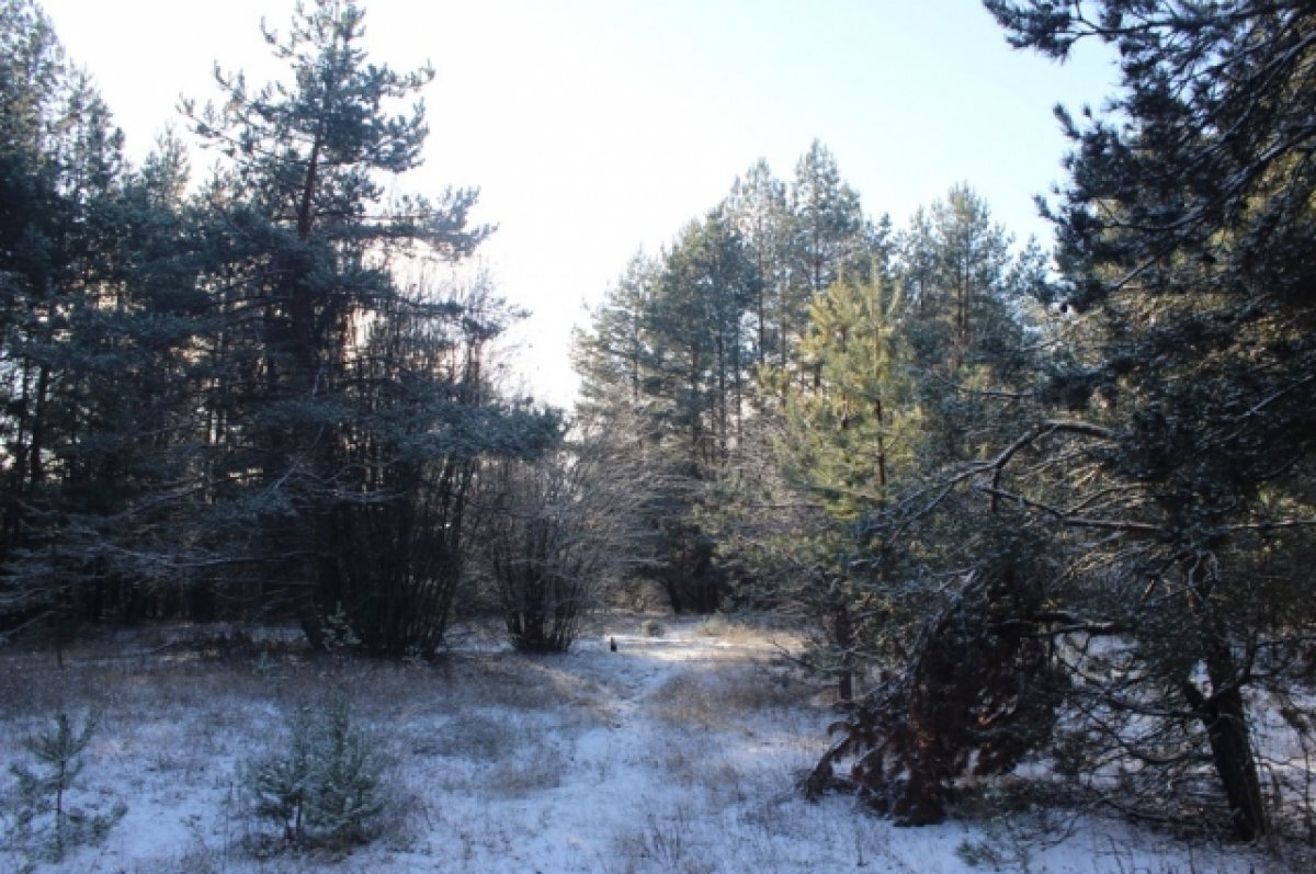    Под Тюменью появится природный заказник «Североболотный»