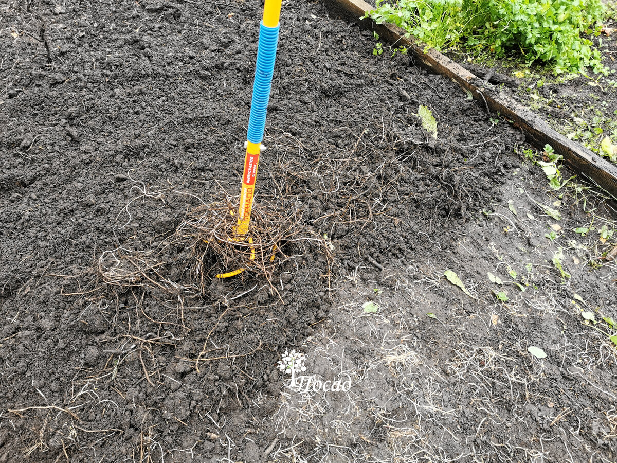 Поначалу работа двигалась быстро.