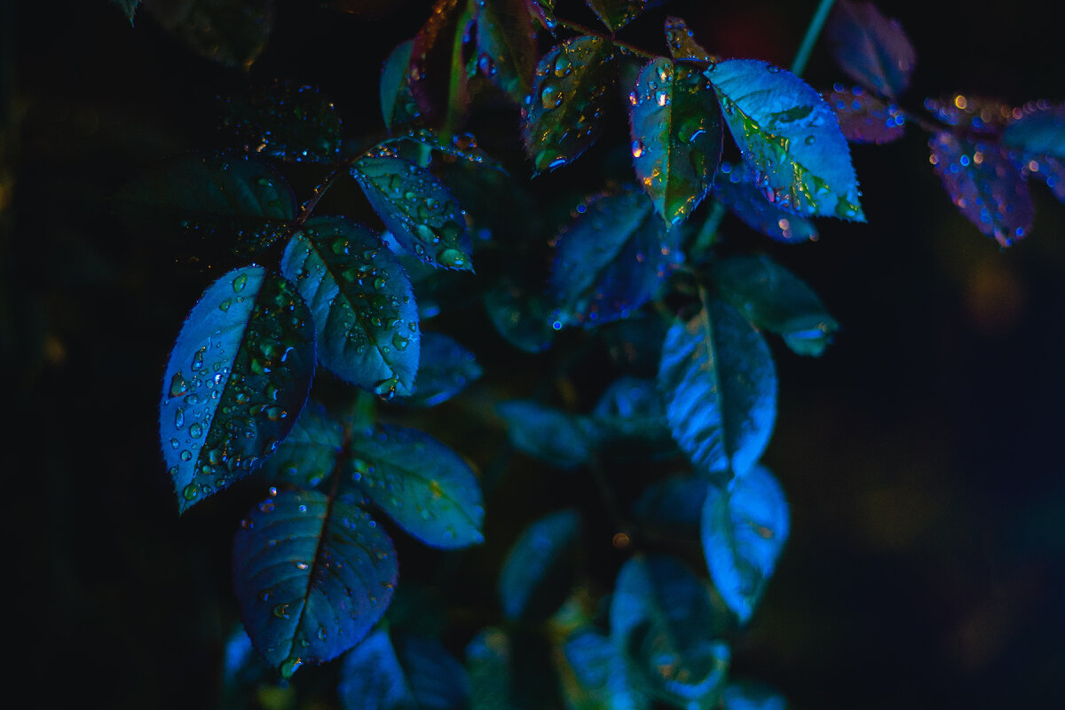 Photo by Arash Asghari on Unsplash