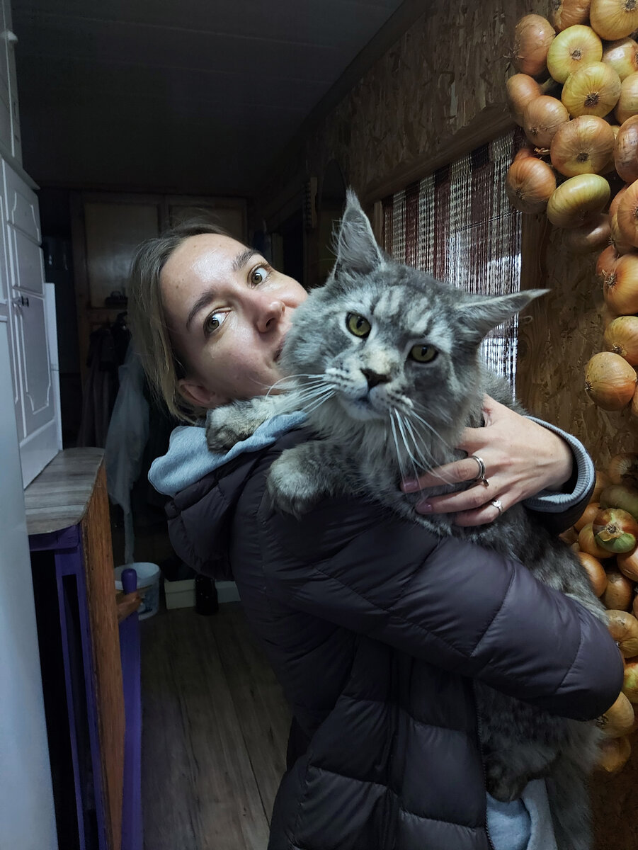 Котик назван в честь Чака Норриса. Котик не мой, но обниматься с ним могу))