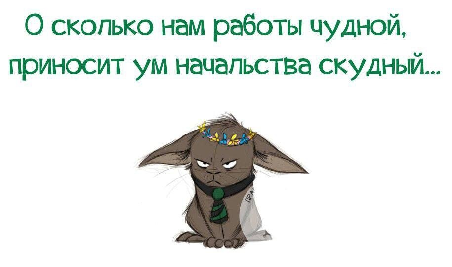 Из интернета.