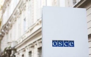    Фото: www.osce.org Ирина Амелина
