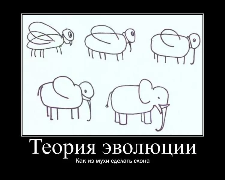 Делать из мухи слона картинка к фразеологизму