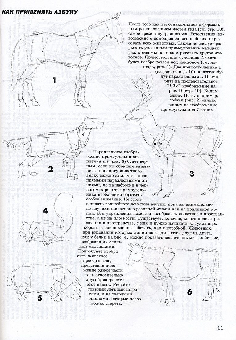 Джек хамм как рисовать