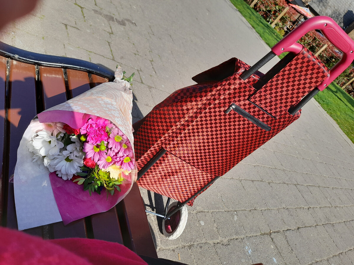 Вот что мне подарили на День Рождения