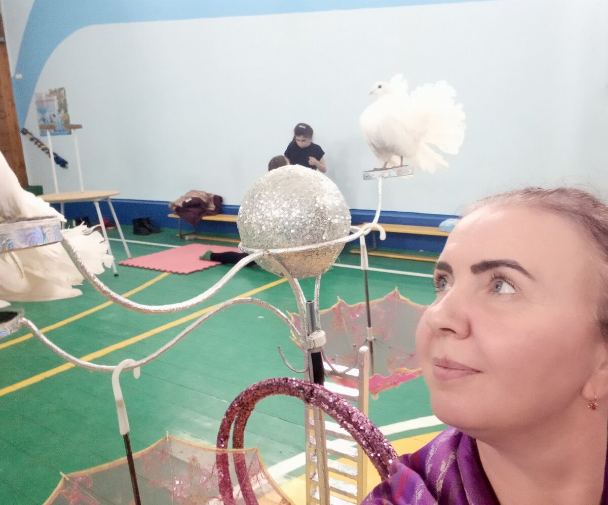 Фото автора. Голуби из цирка!