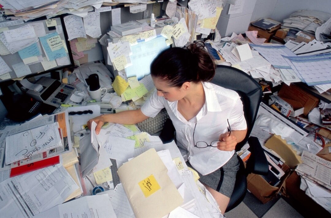 Фото из открытых источников интернета 