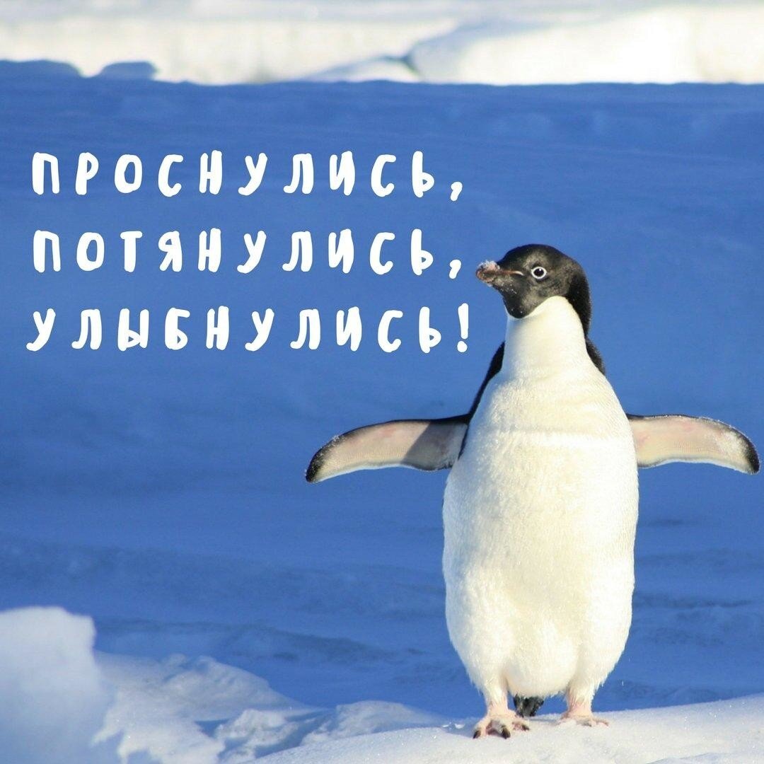 Яндекс картинки ❄️