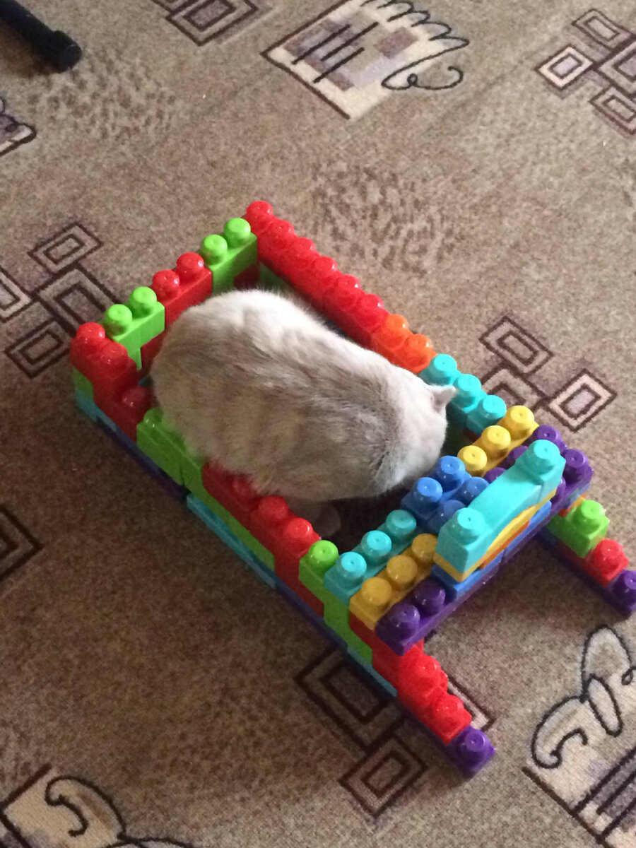 Любил спать в странных местах