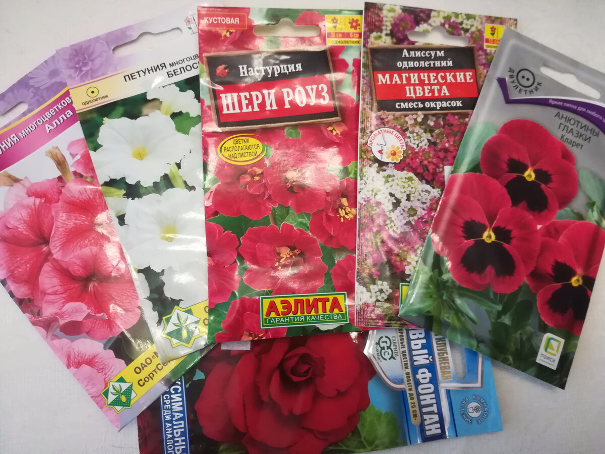 Семена цветов на новый сезон