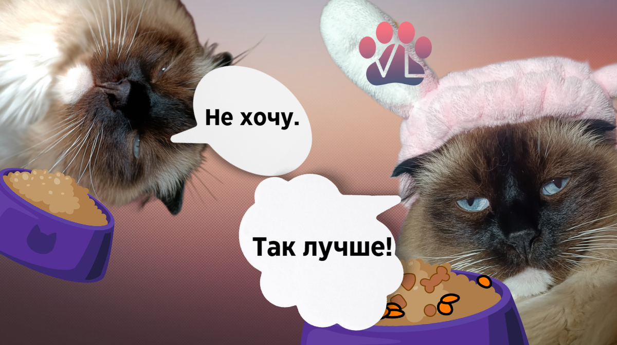 Модель, не иначе!