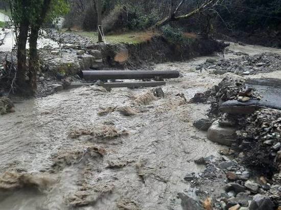     Фото: t.me/chp_sochi