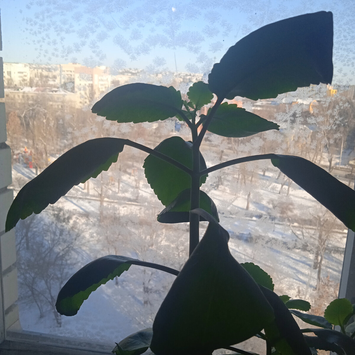 Саратов - город северный